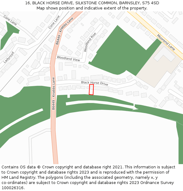 16, BLACK HORSE DRIVE, SILKSTONE COMMON, BARNSLEY, S75 4SD: Location map and indicative extent of plot