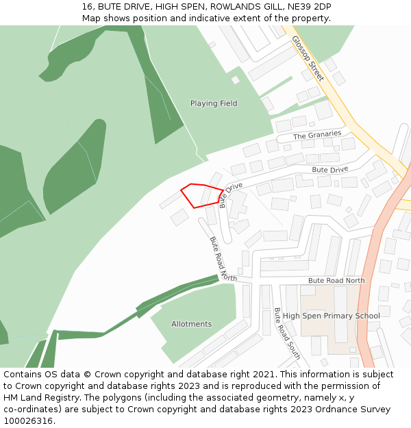 16, BUTE DRIVE, HIGH SPEN, ROWLANDS GILL, NE39 2DP: Location map and indicative extent of plot