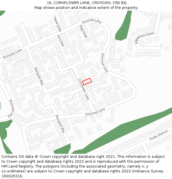 16, CORNFLOWER LANE, CROYDON, CR0 8XJ: Location map and indicative extent of plot