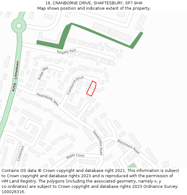 16, CRANBORNE DRIVE, SHAFTESBURY, SP7 9HA: Location map and indicative extent of plot