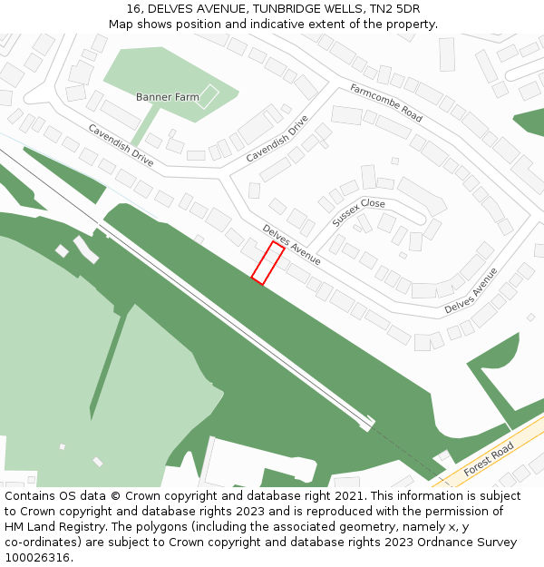 16, DELVES AVENUE, TUNBRIDGE WELLS, TN2 5DR: Location map and indicative extent of plot