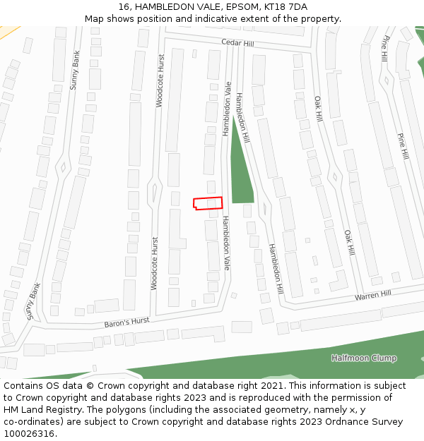 16, HAMBLEDON VALE, EPSOM, KT18 7DA: Location map and indicative extent of plot