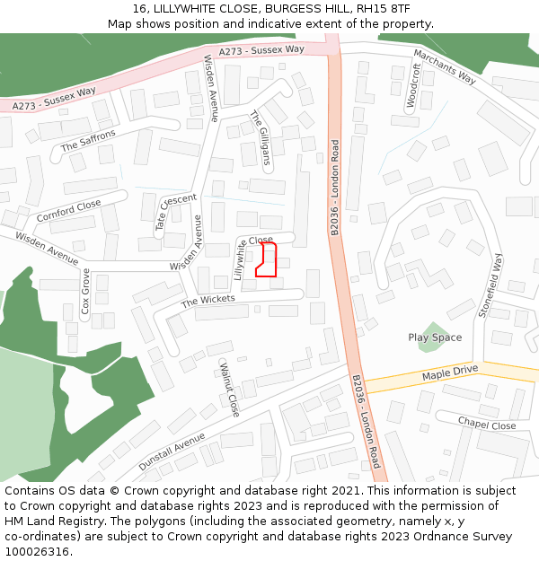 16, LILLYWHITE CLOSE, BURGESS HILL, RH15 8TF: Location map and indicative extent of plot