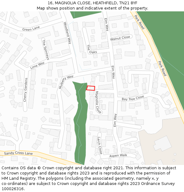 16, MAGNOLIA CLOSE, HEATHFIELD, TN21 8YF: Location map and indicative extent of plot