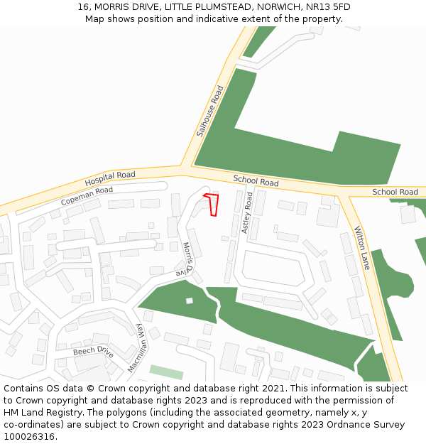 16, MORRIS DRIVE, LITTLE PLUMSTEAD, NORWICH, NR13 5FD: Location map and indicative extent of plot