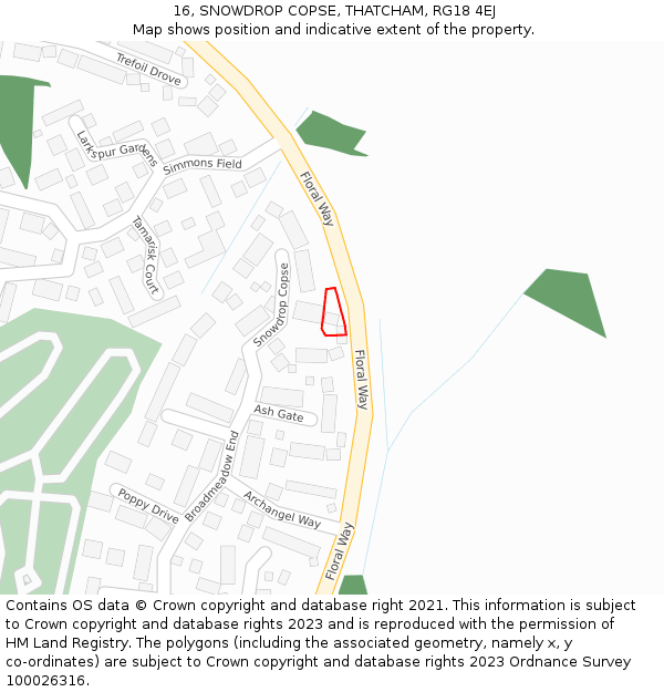 16, SNOWDROP COPSE, THATCHAM, RG18 4EJ: Location map and indicative extent of plot