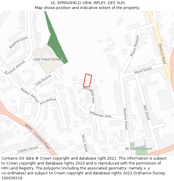 16, SPRINGFIELD VIEW, RIPLEY, DE5 3UN: Location map and indicative extent of plot