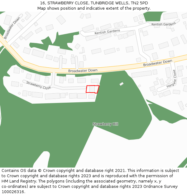 16, STRAWBERRY CLOSE, TUNBRIDGE WELLS, TN2 5PD: Location map and indicative extent of plot