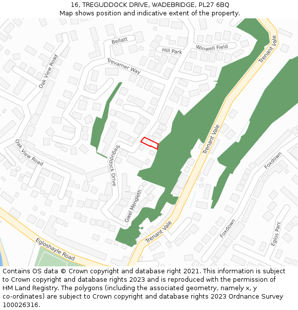 16, TREGUDDOCK DRIVE, WADEBRIDGE, PL27 6BQ: Location map and indicative extent of plot