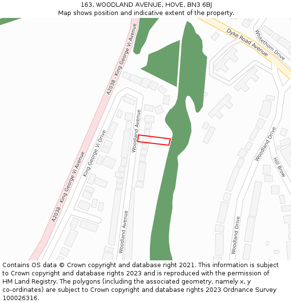 163, WOODLAND AVENUE, HOVE, BN3 6BJ: Location map and indicative extent of plot