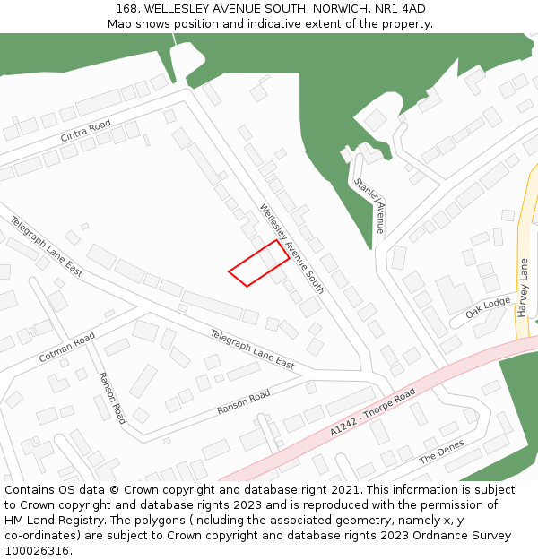 168, WELLESLEY AVENUE SOUTH, NORWICH, NR1 4AD: Location map and indicative extent of plot