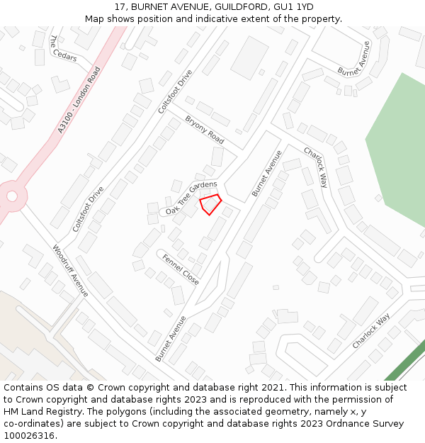 17, BURNET AVENUE, GUILDFORD, GU1 1YD: Location map and indicative extent of plot