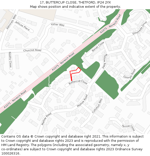 17, BUTTERCUP CLOSE, THETFORD, IP24 2YX: Location map and indicative extent of plot