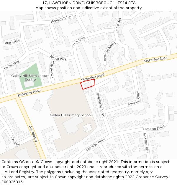 17, HAWTHORN DRIVE, GUISBOROUGH, TS14 8EA: Location map and indicative extent of plot