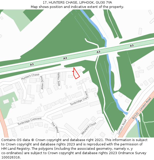 17, HUNTERS CHASE, LIPHOOK, GU30 7YA: Location map and indicative extent of plot