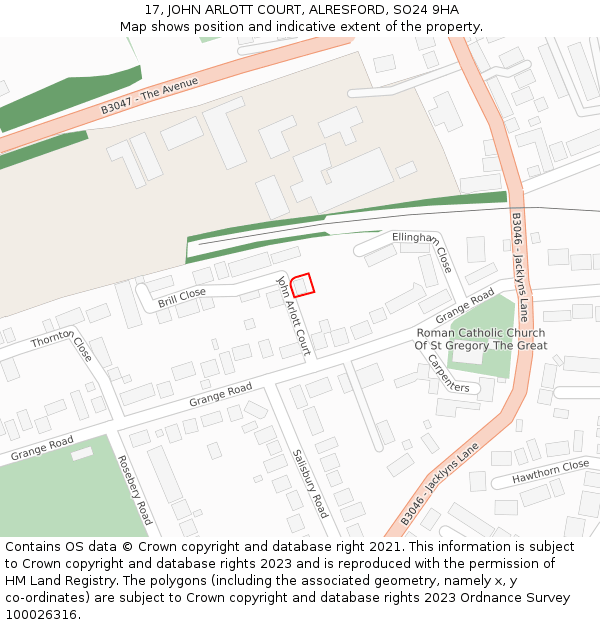 17, JOHN ARLOTT COURT, ALRESFORD, SO24 9HA: Location map and indicative extent of plot