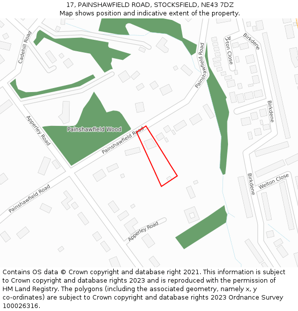 17, PAINSHAWFIELD ROAD, STOCKSFIELD, NE43 7DZ: Location map and indicative extent of plot