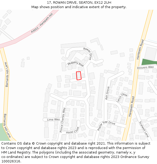17, ROWAN DRIVE, SEATON, EX12 2UH: Location map and indicative extent of plot