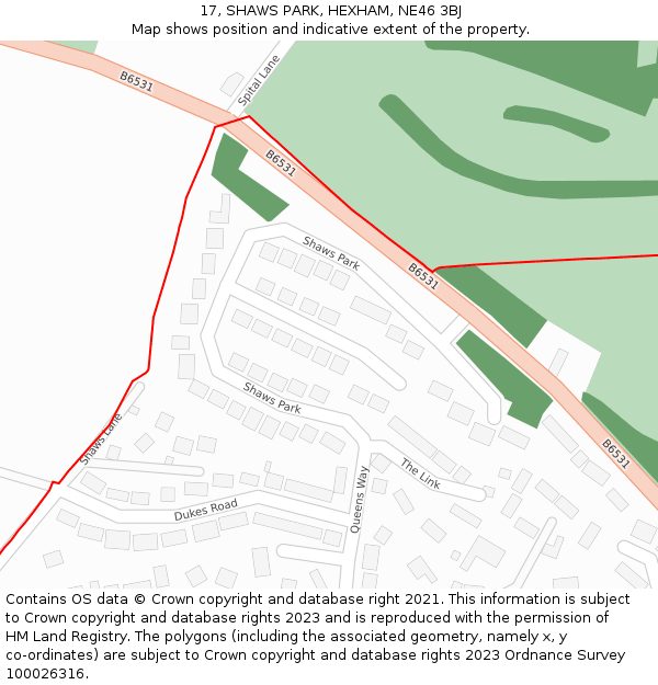 17, SHAWS PARK, HEXHAM, NE46 3BJ: Location map and indicative extent of plot