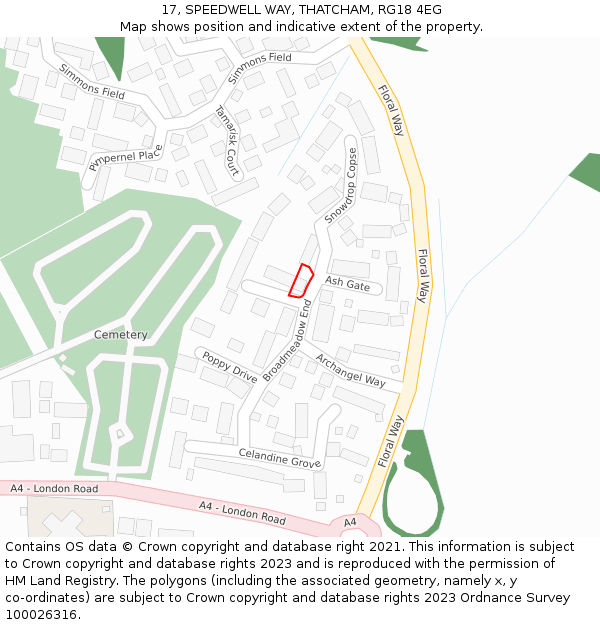 17, SPEEDWELL WAY, THATCHAM, RG18 4EG: Location map and indicative extent of plot