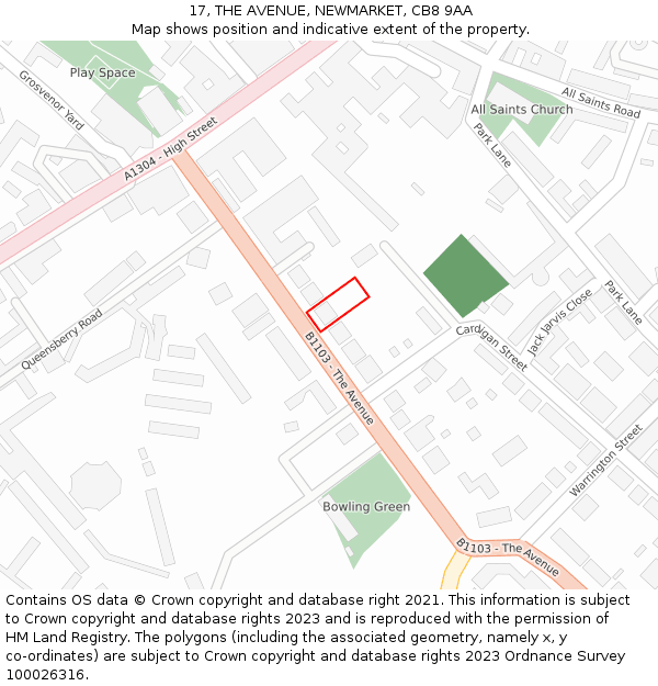 17, THE AVENUE, NEWMARKET, CB8 9AA: Location map and indicative extent of plot