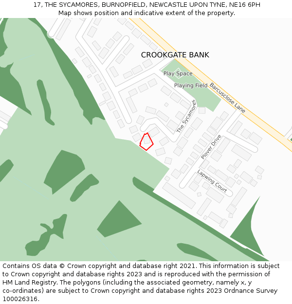 17, THE SYCAMORES, BURNOPFIELD, NEWCASTLE UPON TYNE, NE16 6PH: Location map and indicative extent of plot