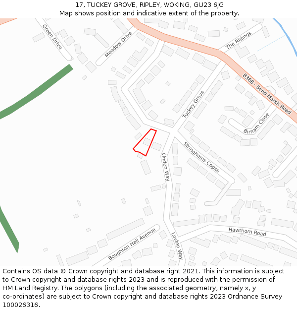 17, TUCKEY GROVE, RIPLEY, WOKING, GU23 6JG: Location map and indicative extent of plot