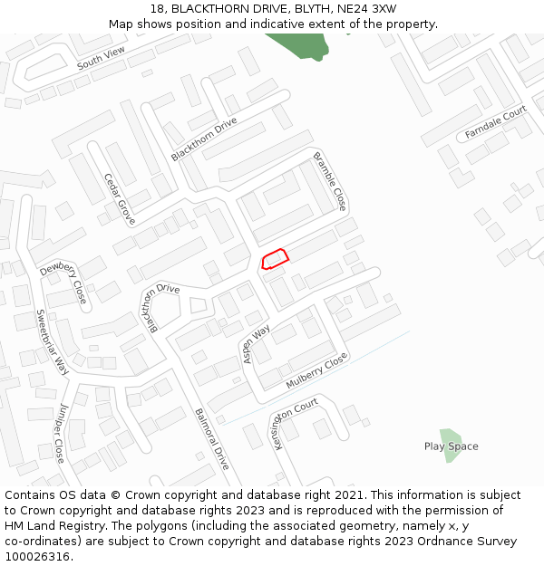 18, BLACKTHORN DRIVE, BLYTH, NE24 3XW: Location map and indicative extent of plot