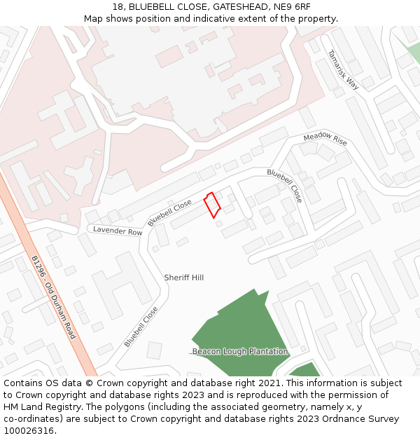 18, BLUEBELL CLOSE, GATESHEAD, NE9 6RF: Location map and indicative extent of plot