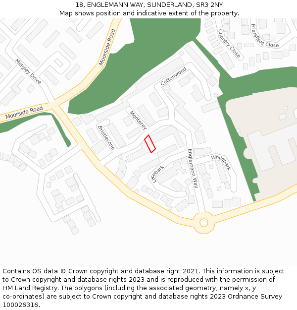 18, ENGLEMANN WAY, SUNDERLAND, SR3 2NY: Location map and indicative extent of plot