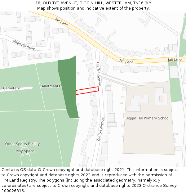 18, OLD TYE AVENUE, BIGGIN HILL, WESTERHAM, TN16 3LY: Location map and indicative extent of plot