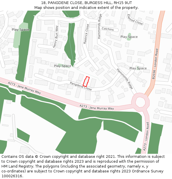 18, PANGDENE CLOSE, BURGESS HILL, RH15 9UT: Location map and indicative extent of plot