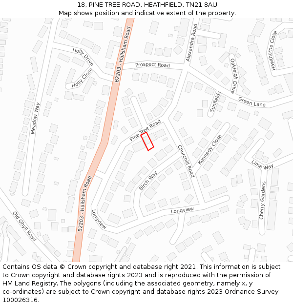 18, PINE TREE ROAD, HEATHFIELD, TN21 8AU: Location map and indicative extent of plot