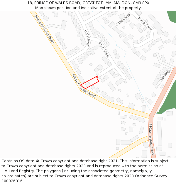 18, PRINCE OF WALES ROAD, GREAT TOTHAM, MALDON, CM9 8PX: Location map and indicative extent of plot