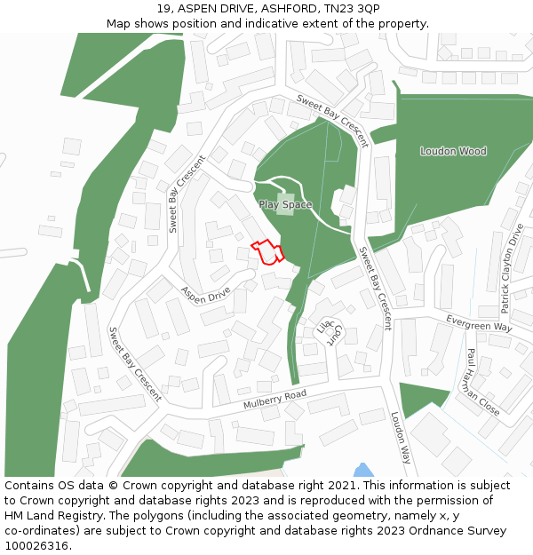 19, ASPEN DRIVE, ASHFORD, TN23 3QP: Location map and indicative extent of plot