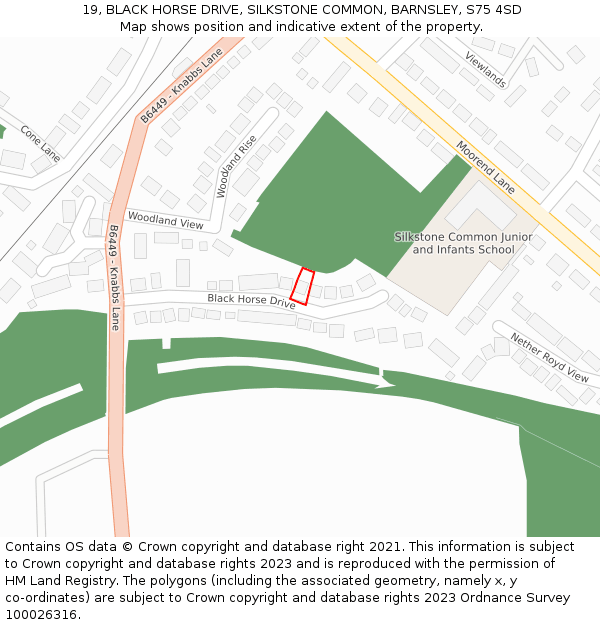 19, BLACK HORSE DRIVE, SILKSTONE COMMON, BARNSLEY, S75 4SD: Location map and indicative extent of plot