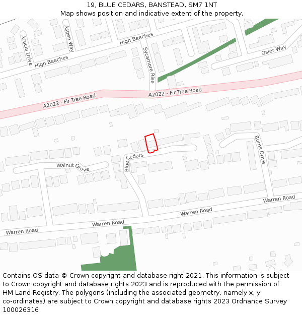 19, BLUE CEDARS, BANSTEAD, SM7 1NT: Location map and indicative extent of plot