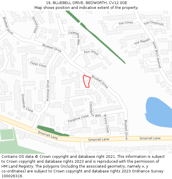19, BLUEBELL DRIVE, BEDWORTH, CV12 0GE: Location map and indicative extent of plot