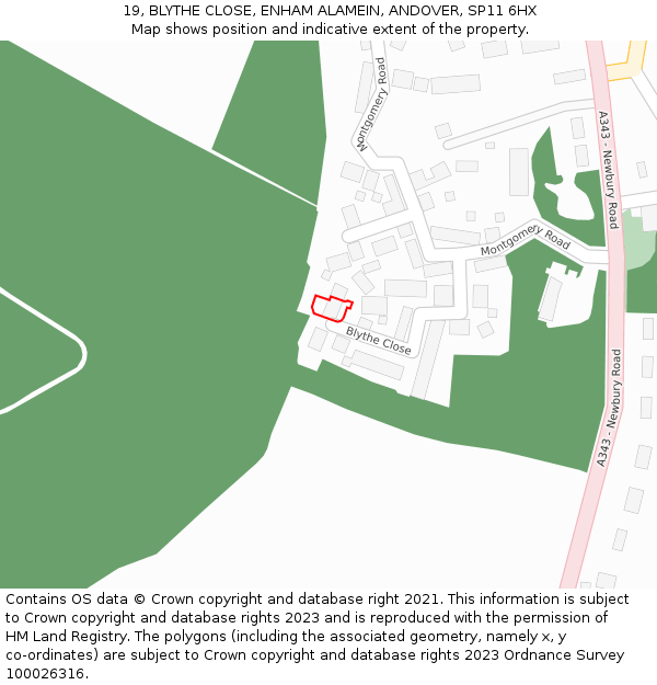 19, BLYTHE CLOSE, ENHAM ALAMEIN, ANDOVER, SP11 6HX: Location map and indicative extent of plot