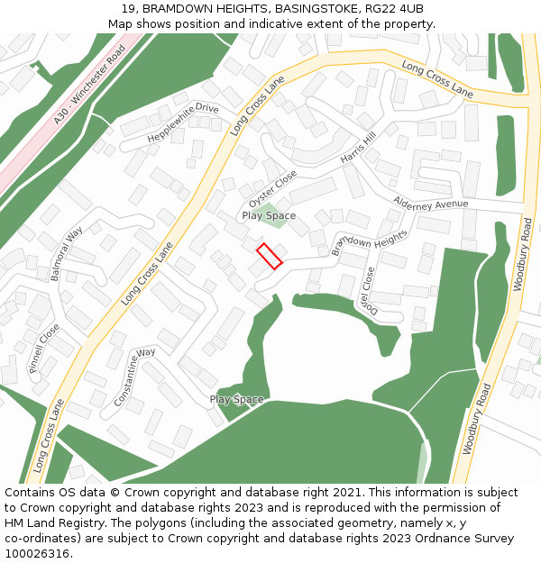 19, BRAMDOWN HEIGHTS, BASINGSTOKE, RG22 4UB: Location map and indicative extent of plot