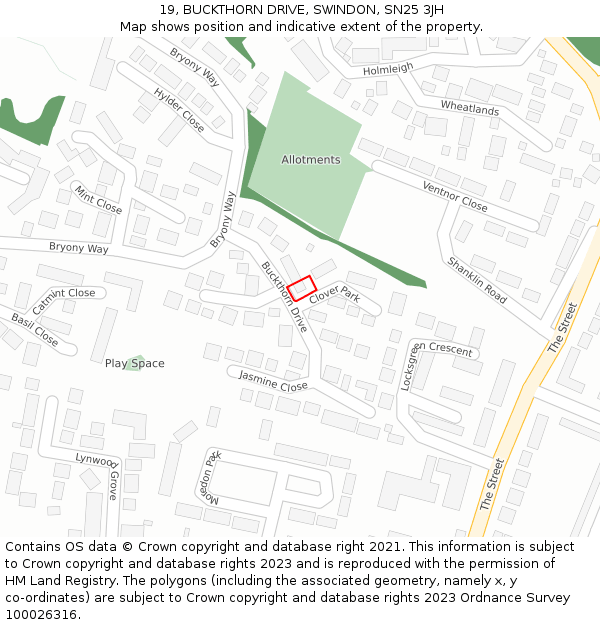 19, BUCKTHORN DRIVE, SWINDON, SN25 3JH: Location map and indicative extent of plot