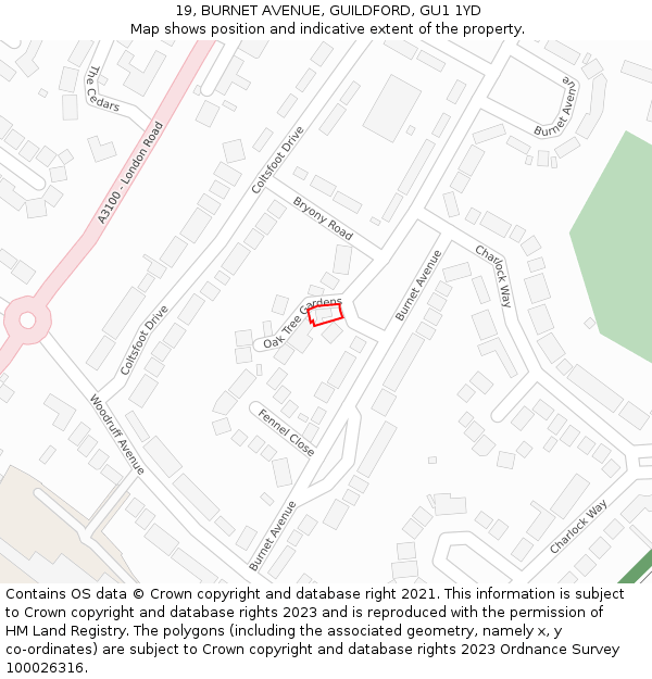 19, BURNET AVENUE, GUILDFORD, GU1 1YD: Location map and indicative extent of plot