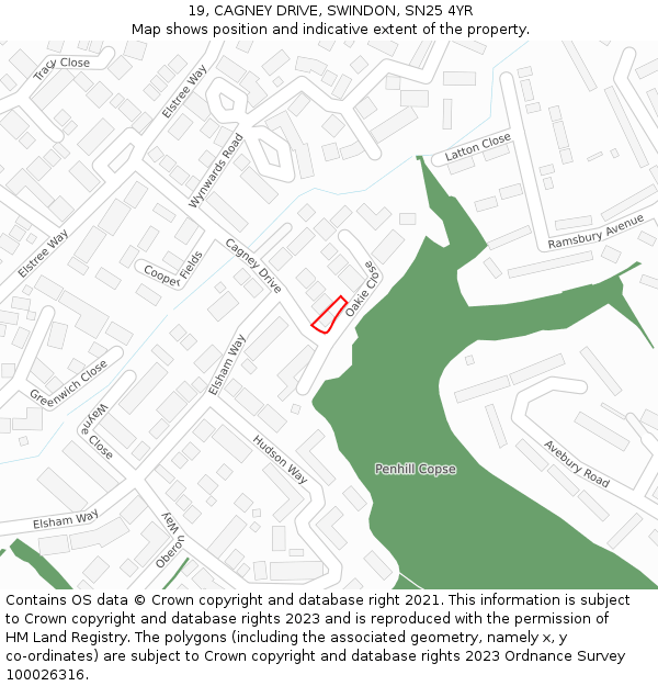 19, CAGNEY DRIVE, SWINDON, SN25 4YR: Location map and indicative extent of plot