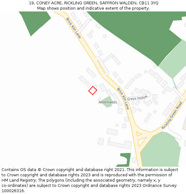 19, CONEY ACRE, RICKLING GREEN, SAFFRON WALDEN, CB11 3YQ: Location map and indicative extent of plot