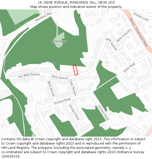 19, DENE AVENUE, ROWLANDS GILL, NE39 1DZ: Location map and indicative extent of plot