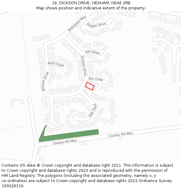 19, DICKSON DRIVE, HEXHAM, NE46 2RB: Location map and indicative extent of plot