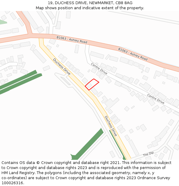 19, DUCHESS DRIVE, NEWMARKET, CB8 8AG: Location map and indicative extent of plot