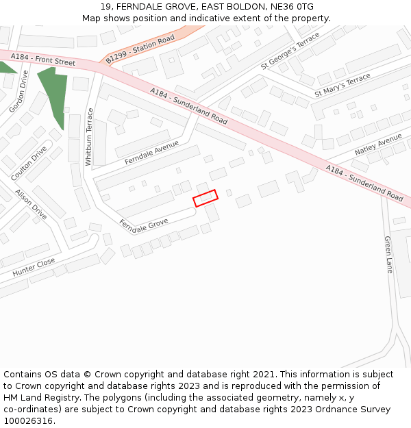 19, FERNDALE GROVE, EAST BOLDON, NE36 0TG: Location map and indicative extent of plot