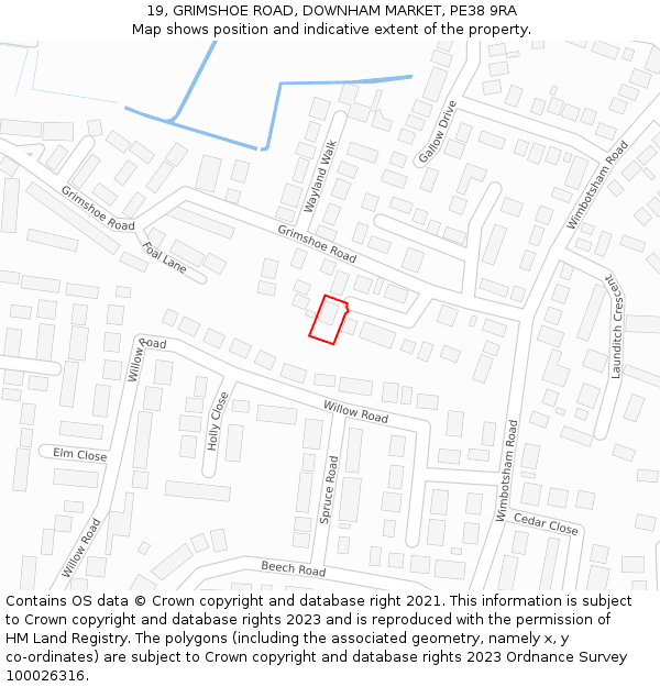 19, GRIMSHOE ROAD, DOWNHAM MARKET, PE38 9RA: Location map and indicative extent of plot
