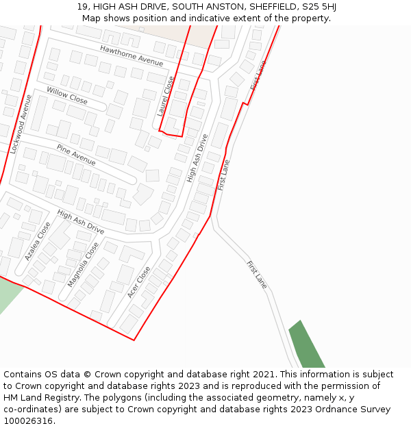 19, HIGH ASH DRIVE, SOUTH ANSTON, SHEFFIELD, S25 5HJ: Location map and indicative extent of plot